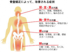 骨盤